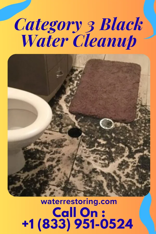 Category 3 Black Water Cleanup in Mitchell, IL
