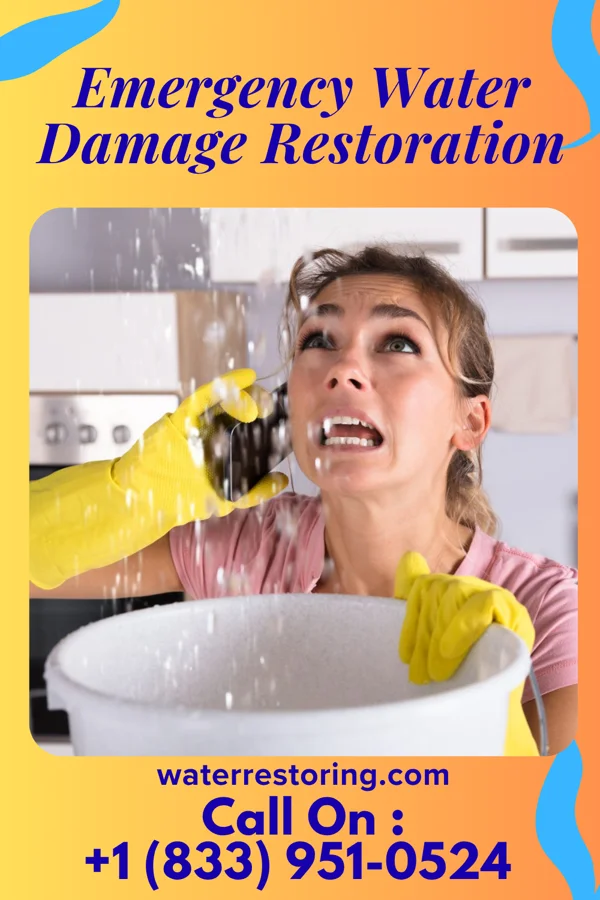 Emergency Water Damage Restoration in Mitchell, IL