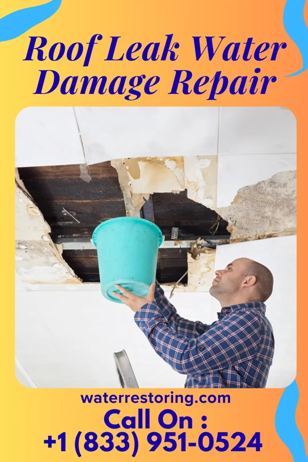 Roof Leak Water Damage Repair in Mitchell, IL
